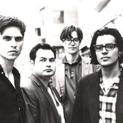 Possum Dixon - List pictures