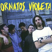 Ornatos Violeta - List pictures