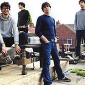 Piebald - List pictures