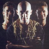 Shriekback - List pictures