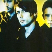The London Suede - List pictures