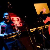 Leaether Strip - List pictures