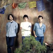 Army Navy - List pictures