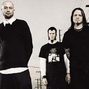 Cold - List pictures