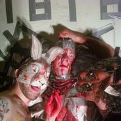 The Bunny The Bear - List pictures