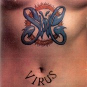 Slank - List pictures