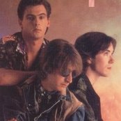 Talk Talk - List pictures