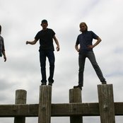 Mimicking Birds - List pictures