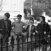 X-ray Spex - List pictures