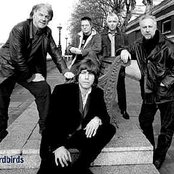 Yardbirds - List pictures