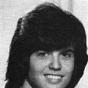 Donny Osmond - List pictures