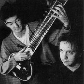 The Magnetic Fields - List pictures