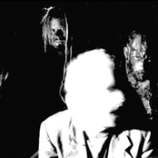 Bile - List pictures