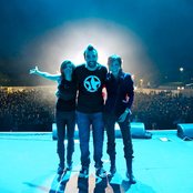 Eruca Sativa - List pictures