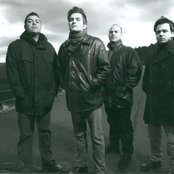 Pernice Brothers - List pictures