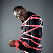 Loon - List pictures