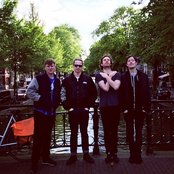 Jungle - List pictures