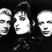 Siouxie - List pictures