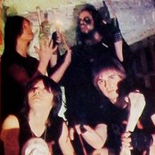 Root - List pictures