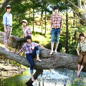 Shinee - List pictures