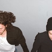 Solar Bears - List pictures