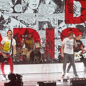 Rotten Bark - List pictures