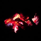 Blackbird Blackbird - List pictures