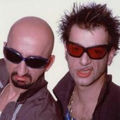 Datura - List pictures