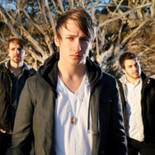 Between The Trees - List pictures