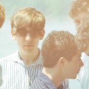 Foals - List pictures