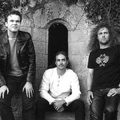 Falconer - List pictures