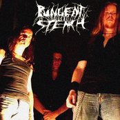 Pungent Stench - List pictures