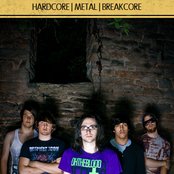 The Constellations - List pictures