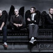 Birds Of Tokyo - List pictures