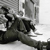 The Suppliers - List pictures