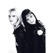 Voice Of The Beehive - List pictures