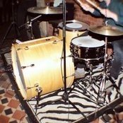 Fawn Spots - List pictures