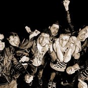 Davila 666 - List pictures