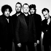 Weeping Willows - List pictures