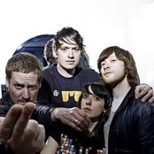 The Whip - List pictures