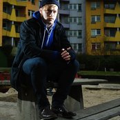 The Field - List pictures