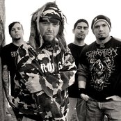 Soulfly - List pictures