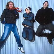 Spiderbait - List pictures