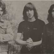 Raven - List pictures