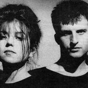 The Sundays - List pictures