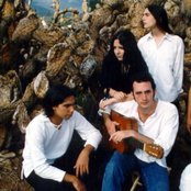 Hydra - List pictures