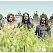 Fair To Midland - List pictures
