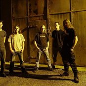 Atrophy - List pictures