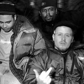 Company Flow - List pictures