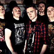 Ingested - List pictures